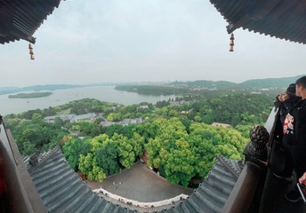 D8C356E5-F1EF-4BFC-8A49-C153A4FD4C94/L0/001