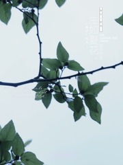 D4C5B26C-9385-49C5-B77F-EB9AF3E3D383/L0/001