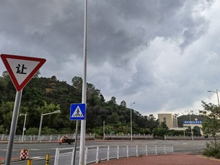 19005