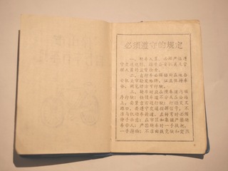 38004