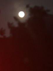 27F0D29C-BE4F-453C-9E2E-A27E4CEB6D0F/L0/001