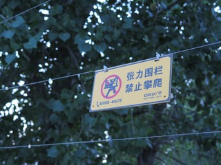 54979