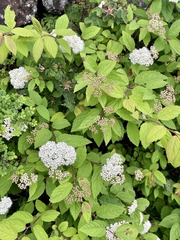 392B2615-7986-4F60-81AC-2E0C85F30719/L0/001