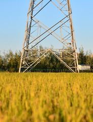 374657