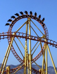 55956
