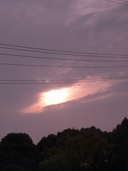 798619