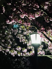 4A50B188-B070-48B6-9AEE-384BC77DD207/L0/001