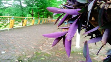 13060