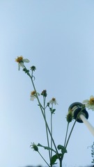 18069