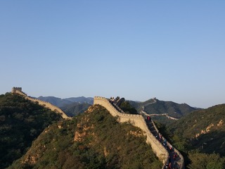 66014