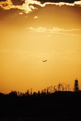 1BFC9043-7B6C-4CB0-80C9-A2AF86E02F0C/L0/001