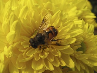 D19BBCDF-5A4E-48C0-B390-D26942DBBDFB/L0/001