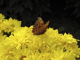 1F9DDCC9-D3A8-41E9-8329-AD43A1655BD2/L0/001