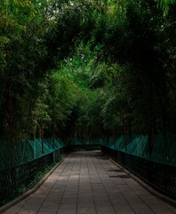 B08ED2A6-373C-4B86-A748-3D7945A3C007/L0/001