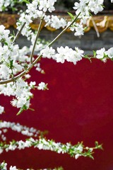 B36843ED-ED9E-40BD-A164-789987ECC727/L0/001