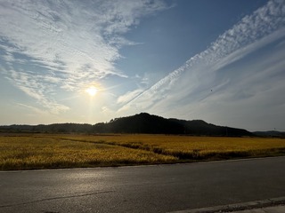 3AF5FD6C-9AC2-461A-865D-0384148AE801/L0/001