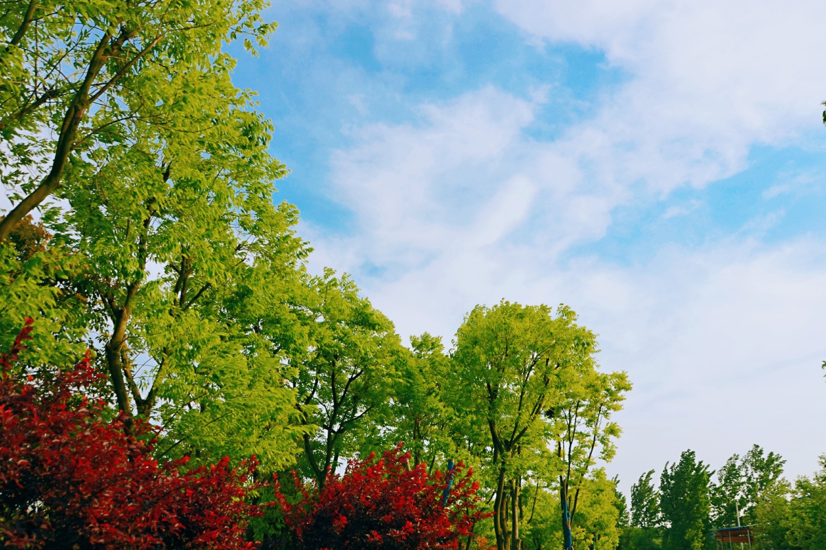 就像这次拍出的图片,这种感觉是我想要的,有点温度,有点爽朗,有点清新