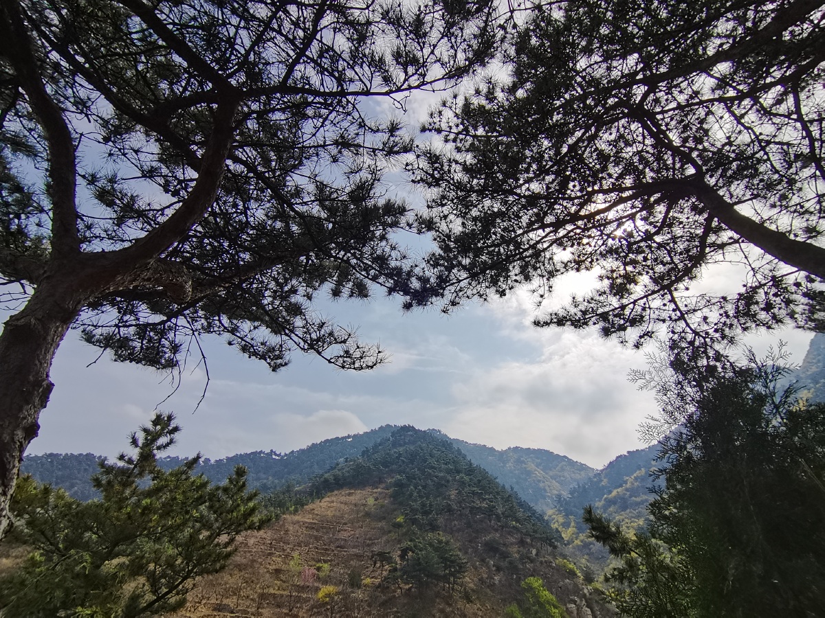周末徒步济南梯子山