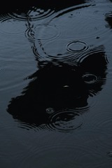 1000156202