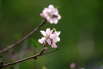 699BE6E3-F145-4539-835E-D0332DD532CE/L0/001