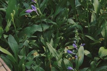 FD2EDFA0-8F02-4C17-A090-A1747A1EBCD1/L0/001