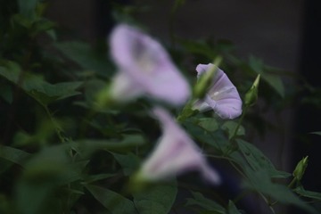 13F021FF-BA2A-4BF6-A06D-0AE775A7835E/L0/001