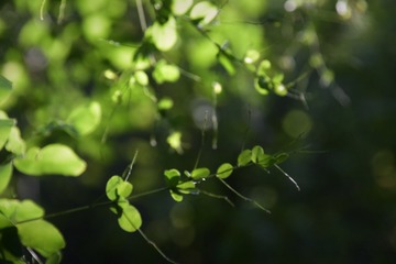 4B00C7D7-2EAA-45CD-8E89-77A692902008/L0/001