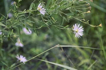 CA94326B-C8D6-4F2F-ACCF-0B51305838F4/L0/001