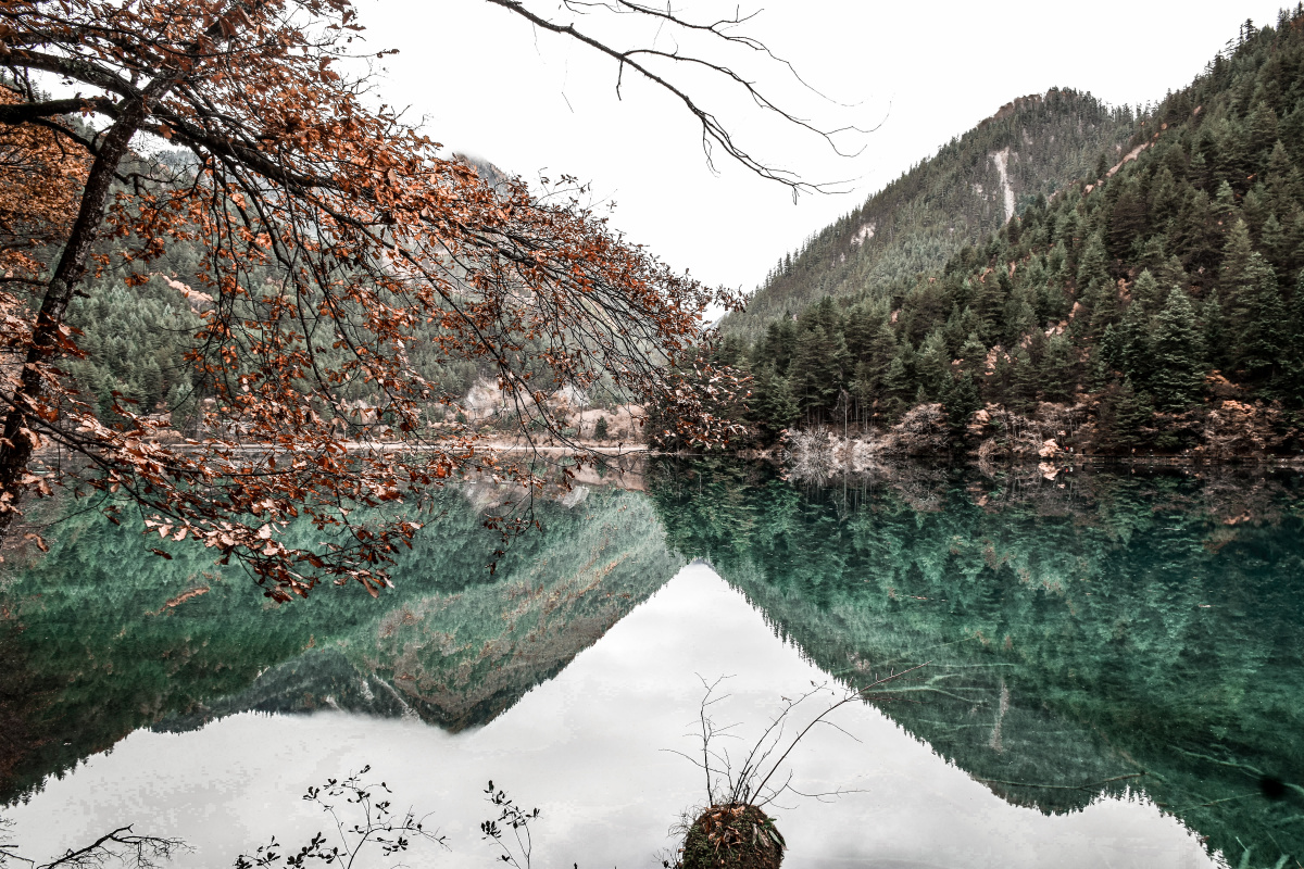 重新调色有质感的灰绿调色