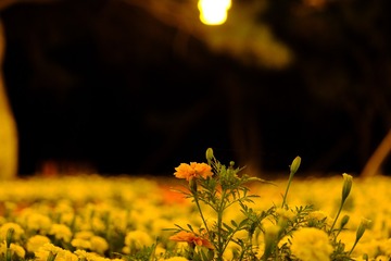 A210E527-D0A5-4766-BD4A-AD7AF5262307/L0/001