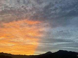 43519997-1151-4E19-AD43-1266F168CEE4/L0/001