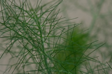 90446219-0BE4-40C0-A20A-10052A5BC1D2/L0/001