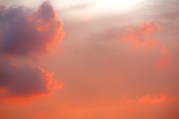 A228167D-471F-44C2-92A0-2DF7436A62B8/L0/001