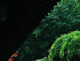 1E9B29EA-30DB-43BB-8E26-ACA49B284202/L0/001
