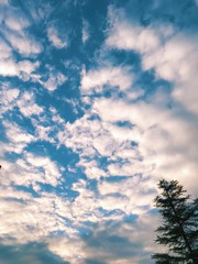 78B279F8-4242-45BA-A643-C14442D63F18/L0/001