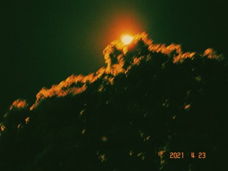 741803