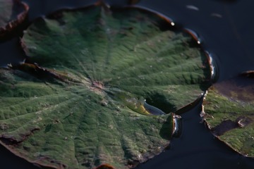 16717