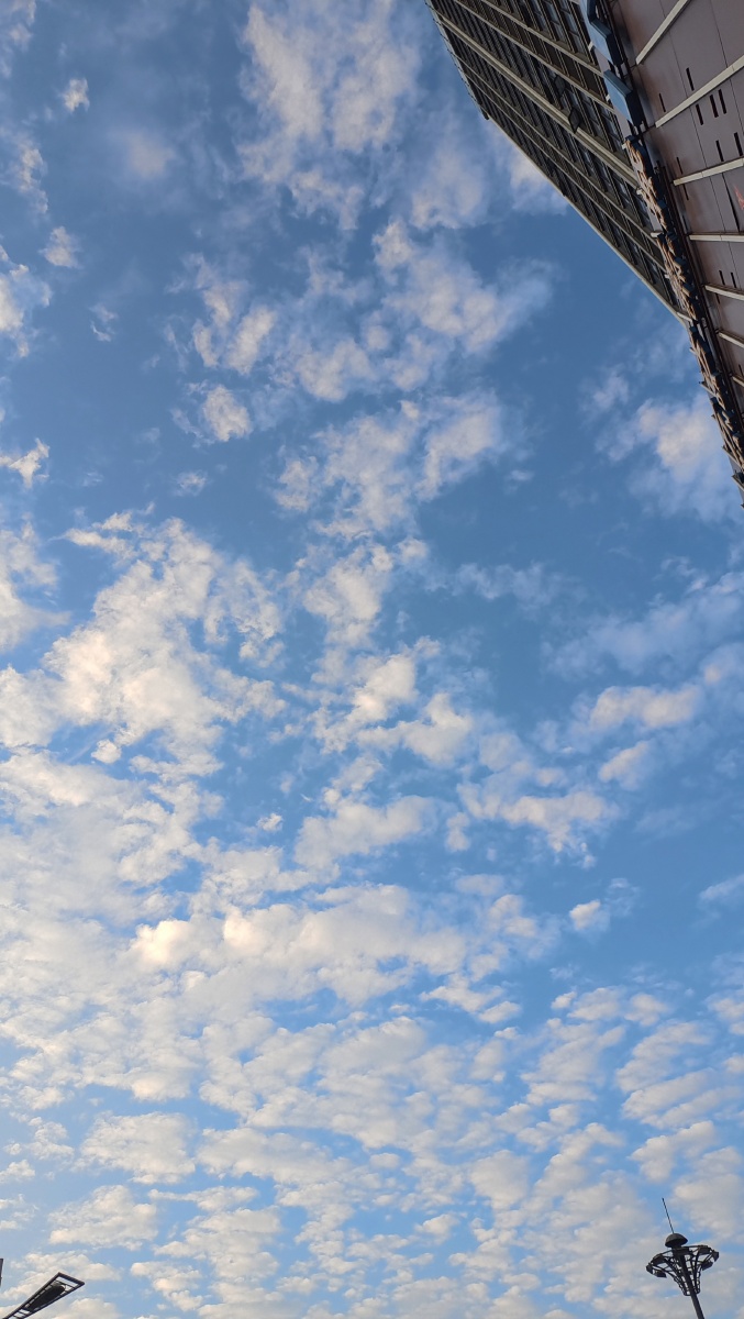 早安呀天空像棉花糖一样风儿静静的吹夏季的早晨真凉快