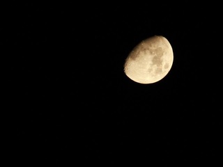 IMG_3931.JPG