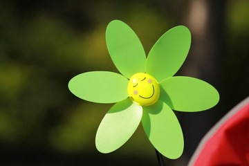 IMG_4376.JPG