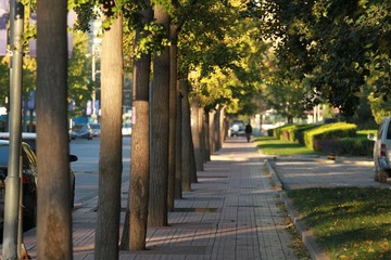 IMG_4817.JPG