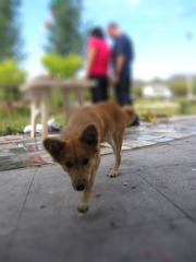 IMG_0049-tiltshift