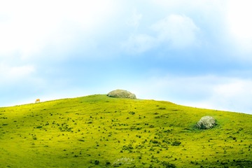 1000080524