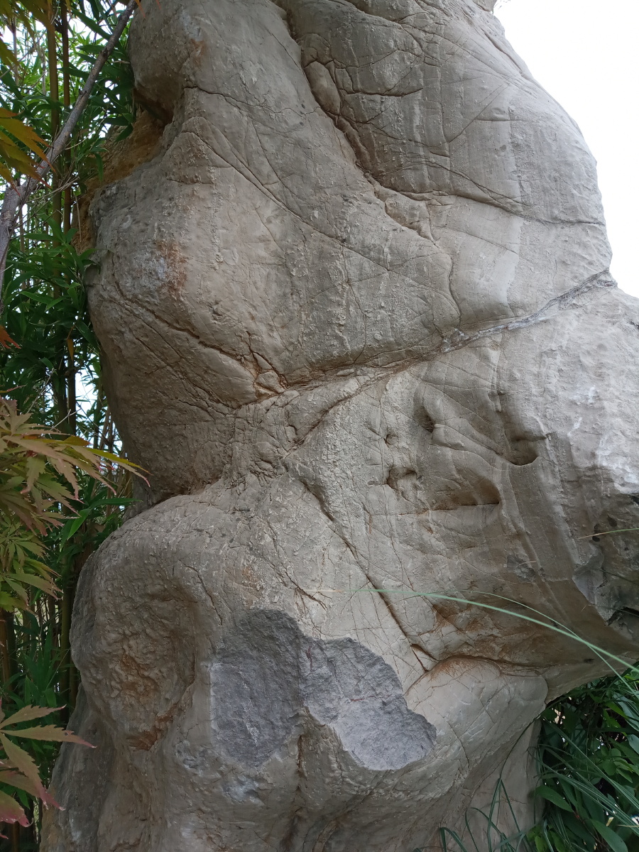 山上发现的一块奇特的大石头