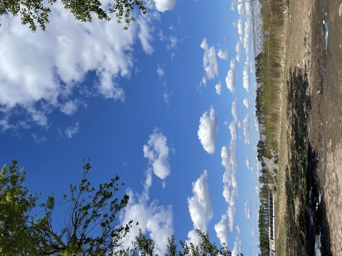 希望的田野湛蓝的天空洁白的云朵清新的自然