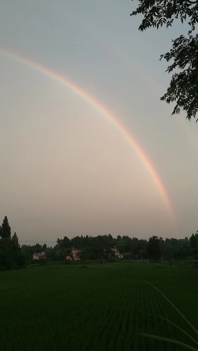 雨过天晴的彩虹