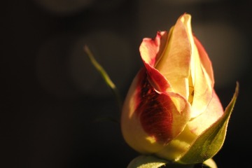 PB080312