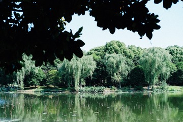 5CCBB676-5F9F-42A5-B06A-898762356C9D/L0/001