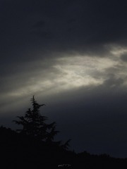 2C0A2F13-7C7D-4B9A-A09B-34A1A8A7C7EF/L0/001