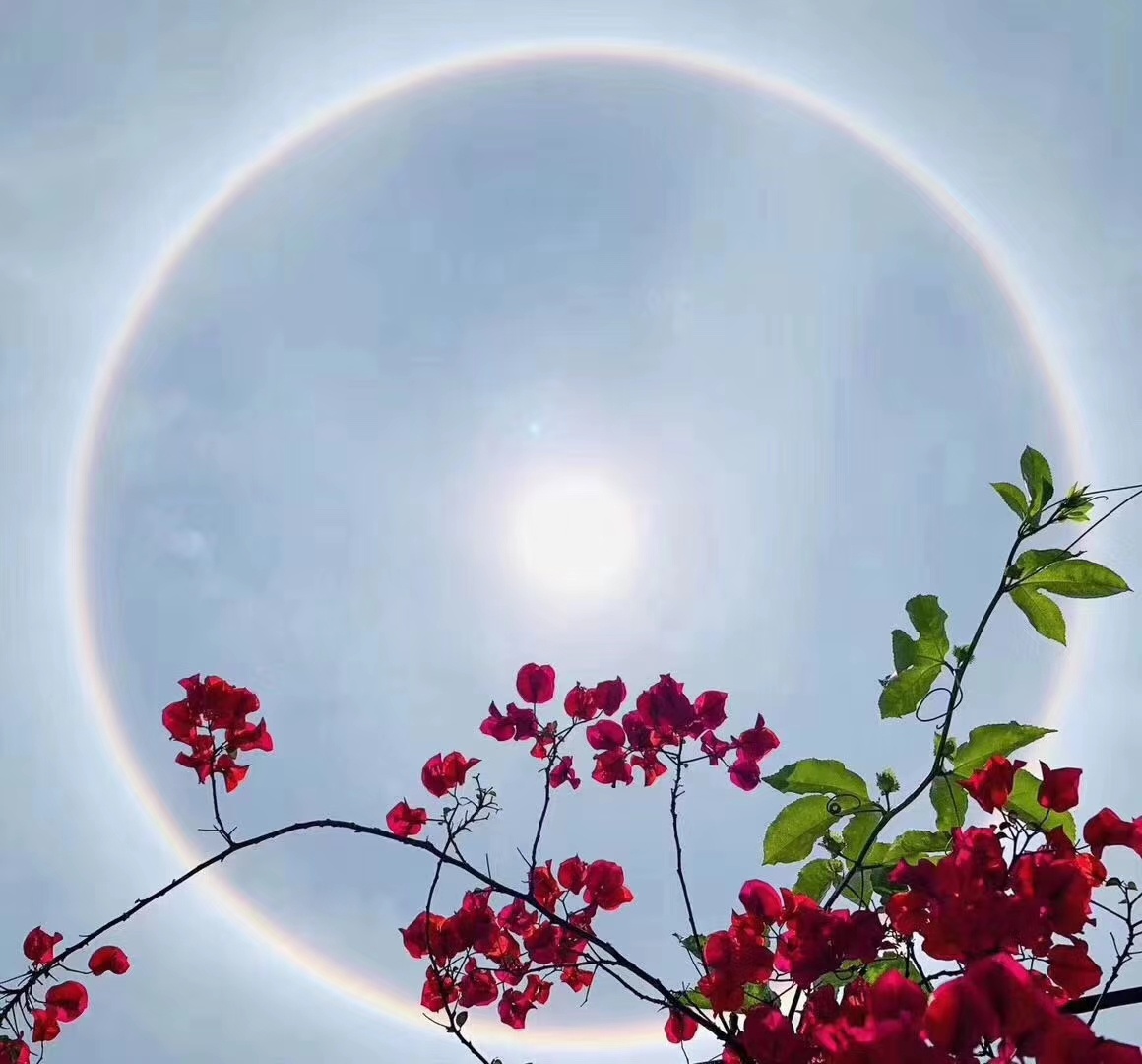 这样的阳光格外美 - 夕颜夕月 - 图虫